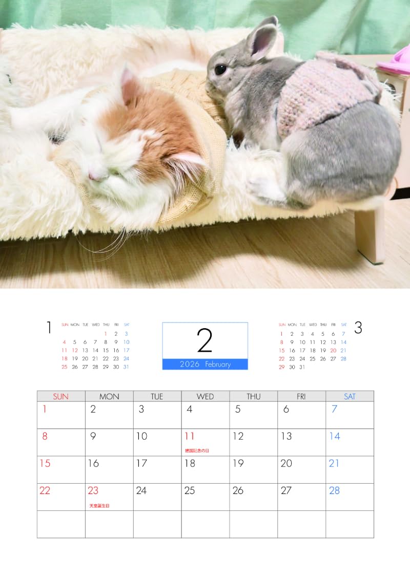 Amazon | 【予約販売】 うさぎのコガラナ天パのうさハムch 2026年