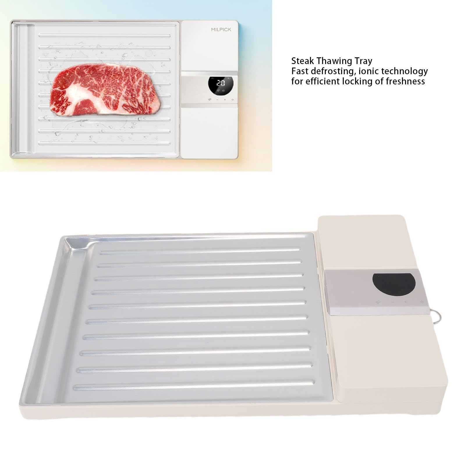 Bewinner Vassoio Scongelatore Elettrico Ricaricabile per Carne Congelata,