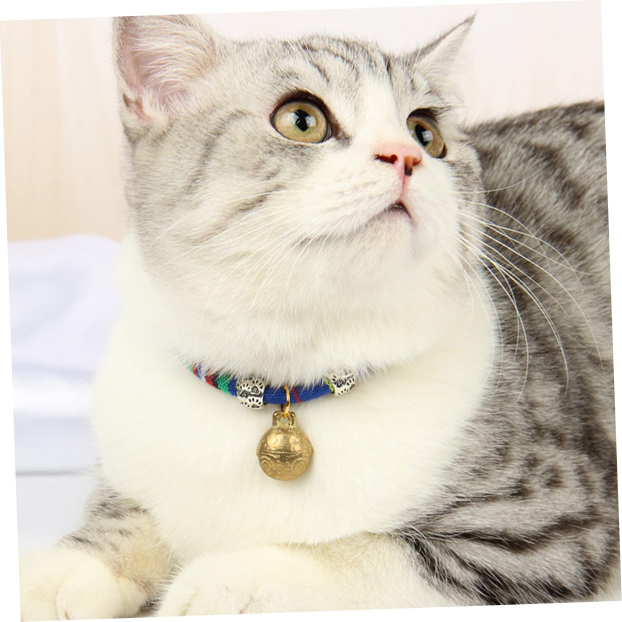 POPETPOP 6 Stück Haustier-Glockenhalsband Kätzchenhalsbänder Halsband Für Welpen Abtrünniges Katzenhalsband Weihnachts-Katzenhalsband Hunde-Bandana-Halsband