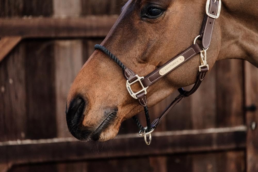 Kentucky - Halfter Full - Brown - Leder