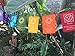 Large Seven Chakra Prayer Flags Banner Wall Hanging (9X12) crown chakra, third eye, throat chakra, heart chakra, spleen chakra, solar plexus, root chakra,