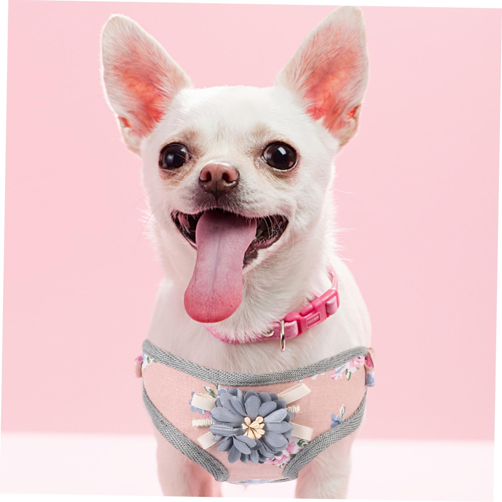 POPETPOP 2juegos Arnés para Perro Diseño Floral y Juego De Correa Arnés Antitirones para Chihuahua y Mascotas