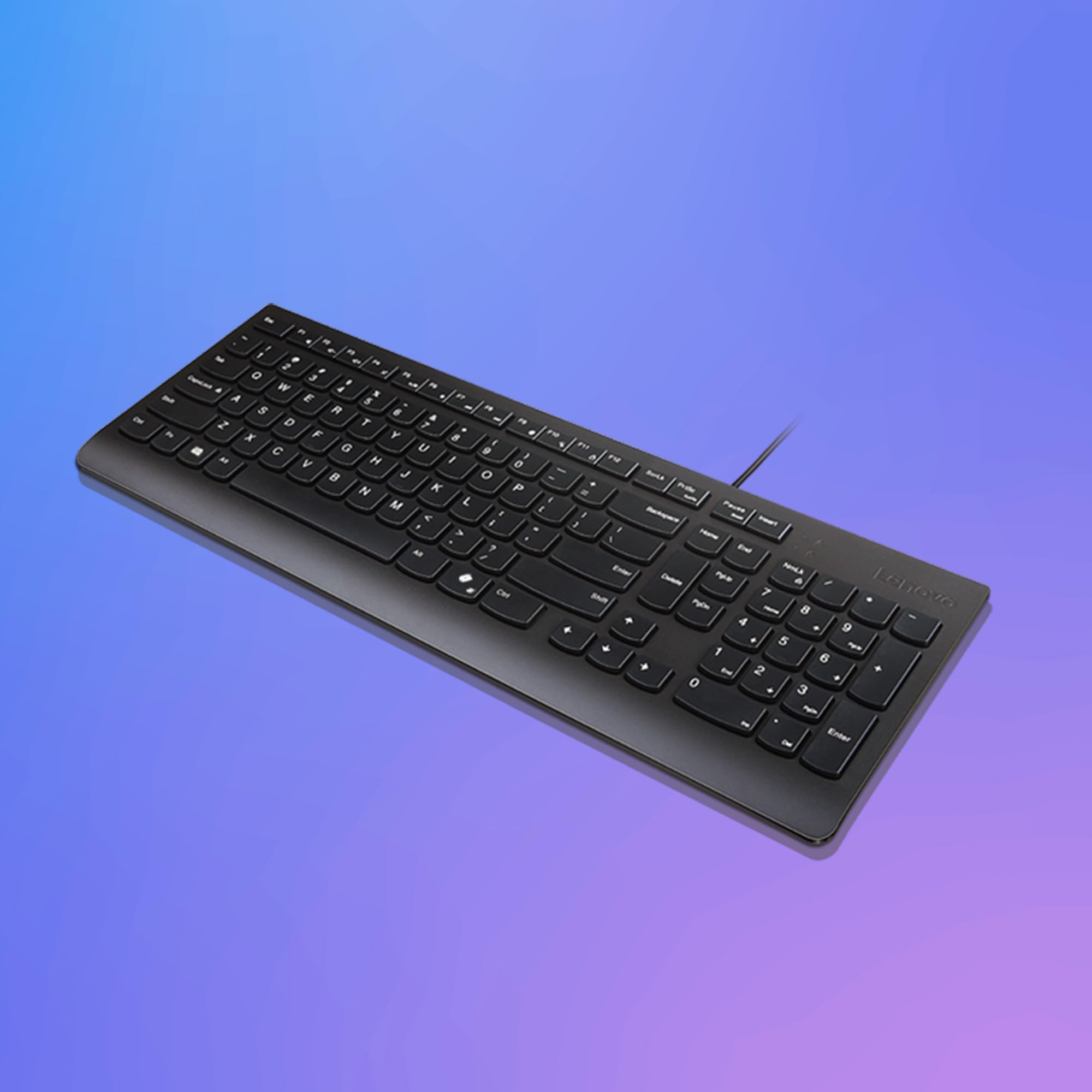 Lenovo Tastiera Cablata Essential – USB 1.8m, Layout 2.5 Zone con Tastierino Numerico, Tasti Silenziosi, Design Anti-Schizzi, Tasto Microsoft Copilot – Nero