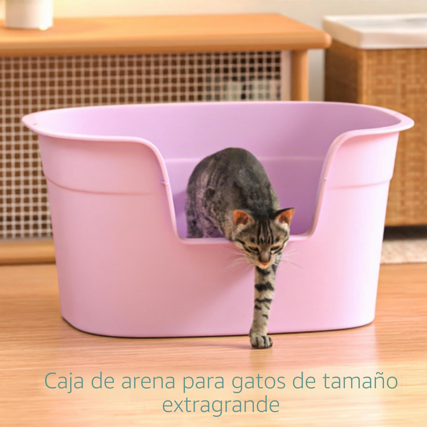 Caja de arena XL para gatos, extragrande, 63 cm de largo x 45 cm de ancho x 33 cm de alto, color morado, bandeja de arena de lados altos para una fácil limpieza, antiderrames, no ensucia,
