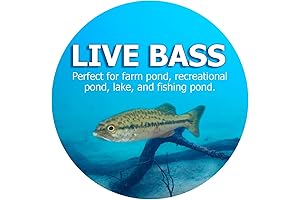 Natural Waterscapes Largemouth Bass Fish Habitats for Ponds