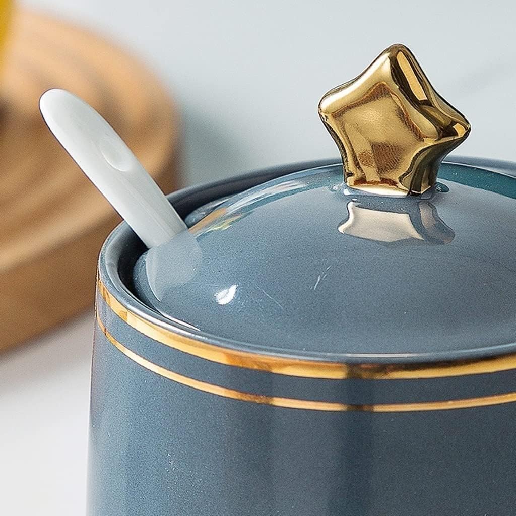 Salt and Sugar Container Sets Ceramic Condiment Container Set with Lid Spoon and Tray Seasoning Jar Seasoning Box Kitchen Seasoning Container Kitchen Counter,B