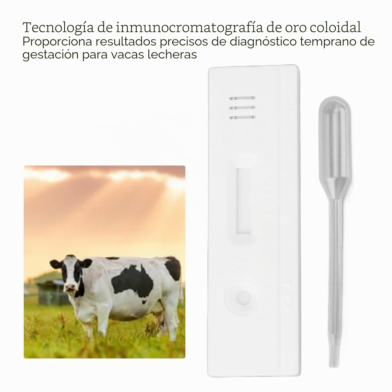 Tiras reactivas de embarazo para vacas, paquete de 10, kit de detección temprana de alta sensibilidad de grado veterinario para granjas de cría de ganado lechero, plástico
