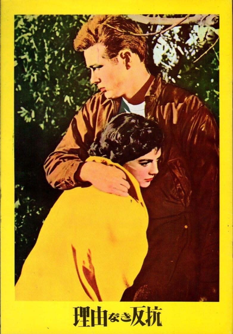 (レア)映画パンフレット　「理由なき反抗　特集号」　ジェイムス・ディーン 理由なき反抗 映画 パンフレット ヴィンテージ ジェームズ・ディーン