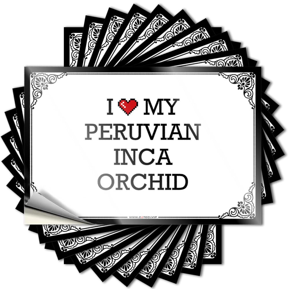 Bumper Cool Funny Garden Decor Bumper I Love My Peruvian Inca Orchid - No Residue Decals for Hunting(8X12CM)