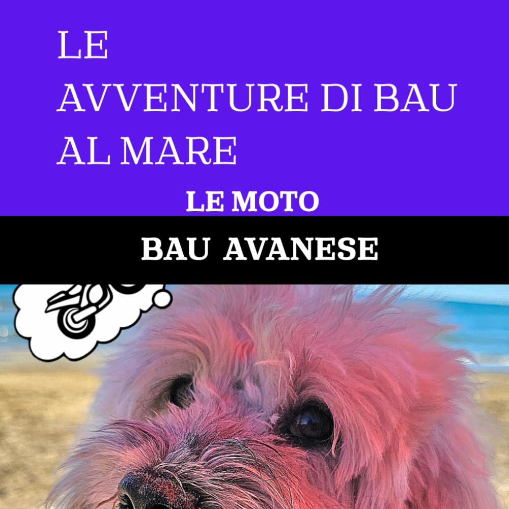 LE AVVENTURE DI BAU AL MARE: LE MOTO