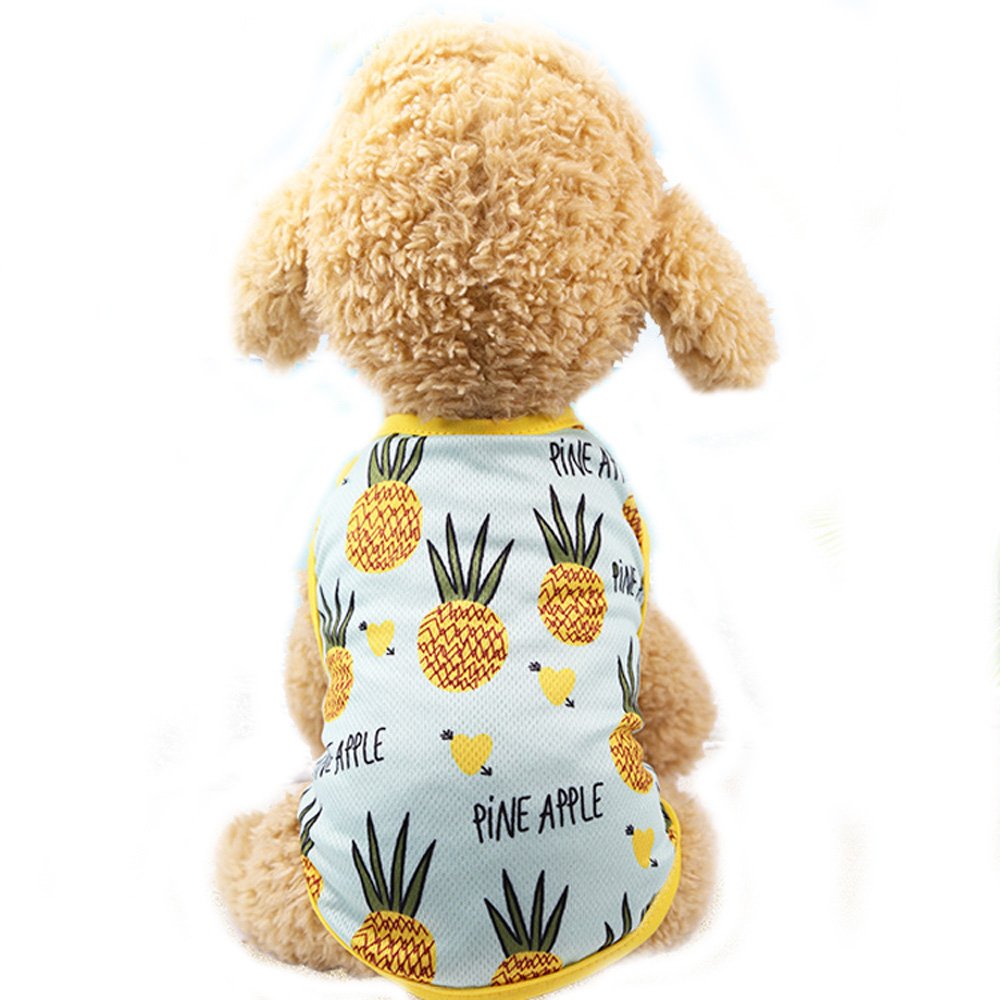 Harikaji Pet Clothes,Lovely Summer Fruit Dog T-Shirt Puppy Clothes Dog Skirt Dress Cats Clothes for Small Dogs Cats Puppy (L-Back Length 35cm,