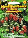 Chrestensen
