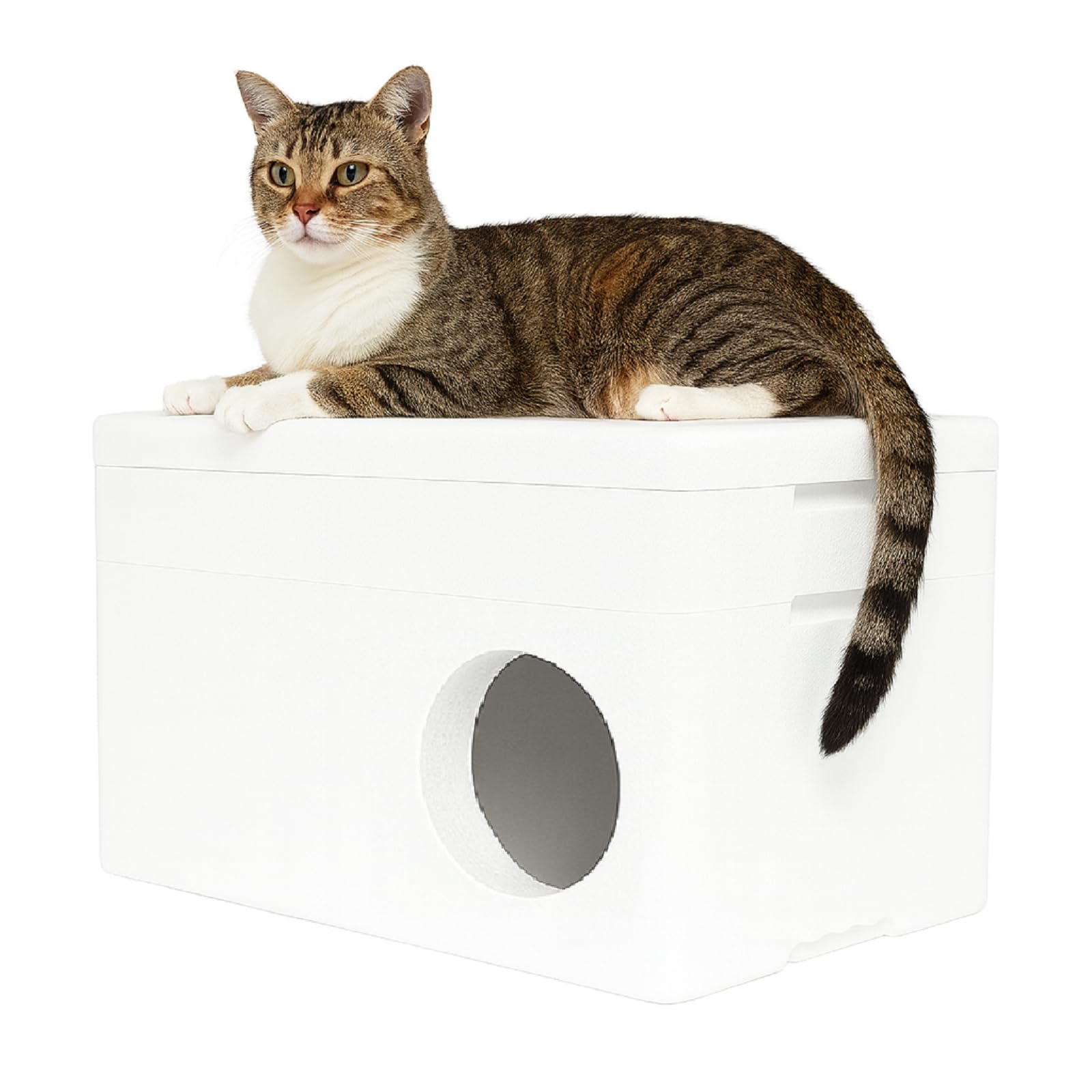 QLS Maison pour Chat isolée en polystyrène 58 x 38 cm Blanc