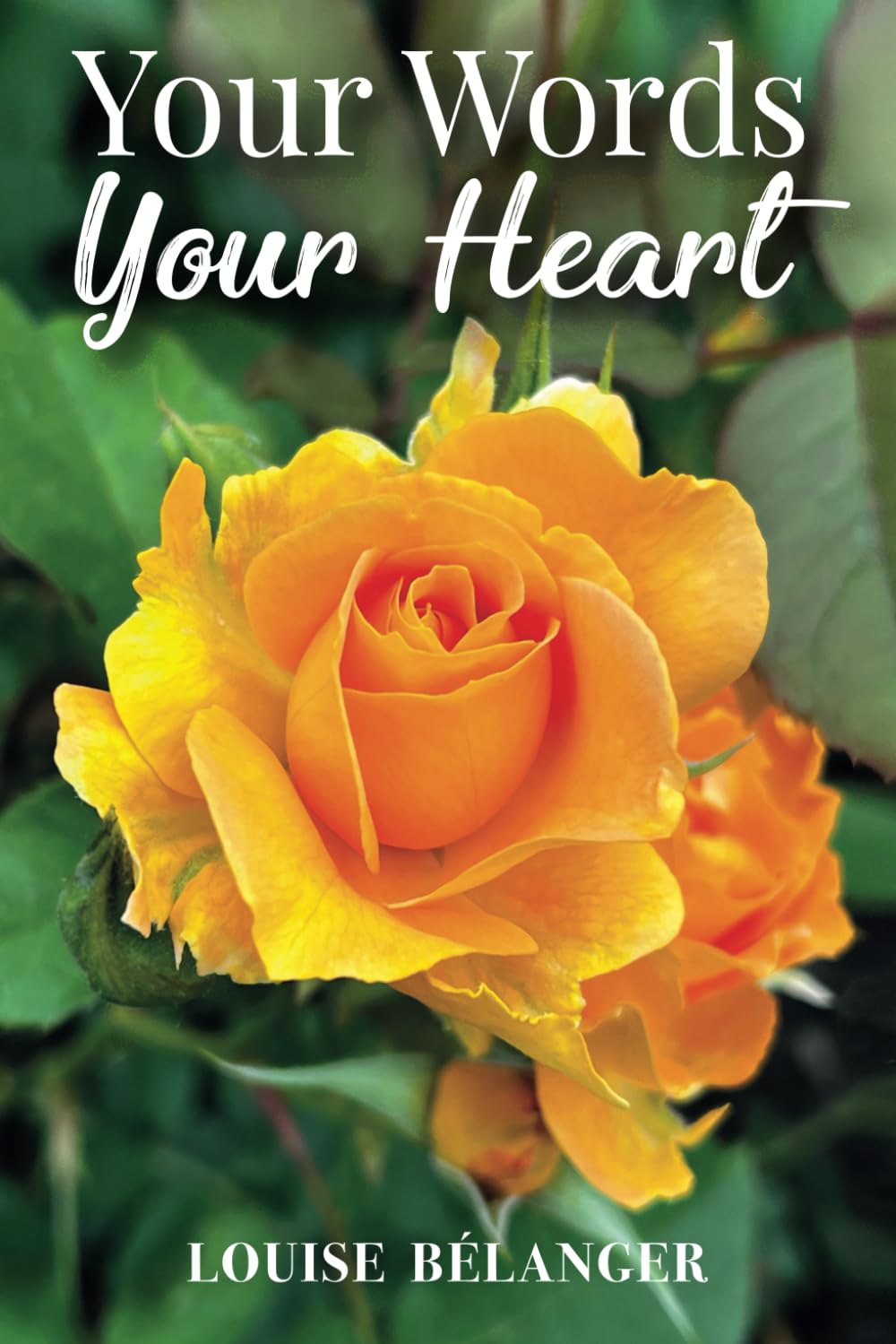 Your Words Your Heart (Your Words collection ~ Poetry and photography books)