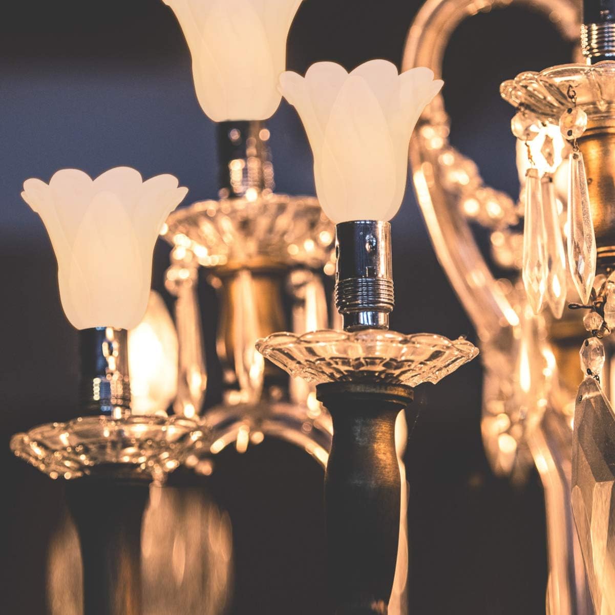 Replaceable Floral Glass Lamp Shade for Wall Light Cover Elegant Household Lighting Fixture for Living Room Bedroom Easy to Install Creates Warm Ambiance