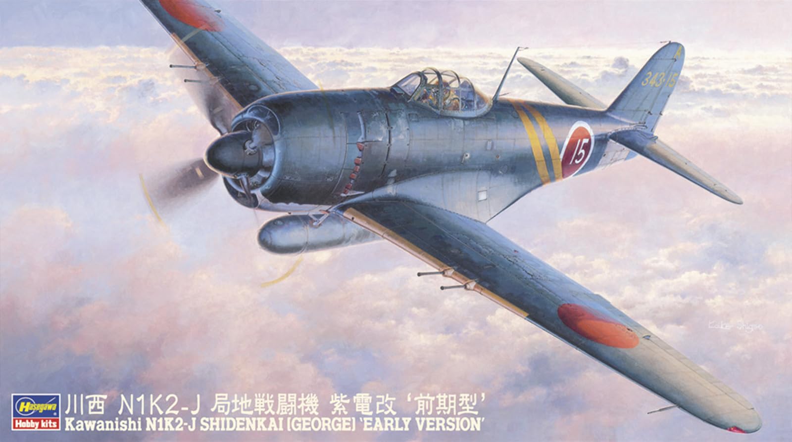 Amazon.com: Hasegawa Kawanishi N1K2J George Shiden-Kai 1-48