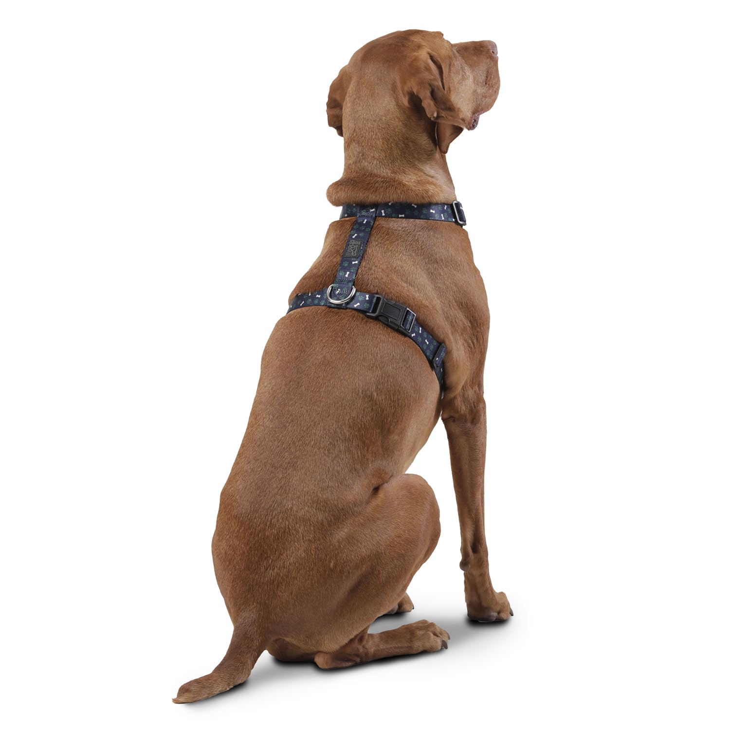 TOTTO, Large Dog Harness, Model Figgo, Size L, Dog Breastplate, Type H, Adjustable, Reduces Pressure in Trachea - Image 3