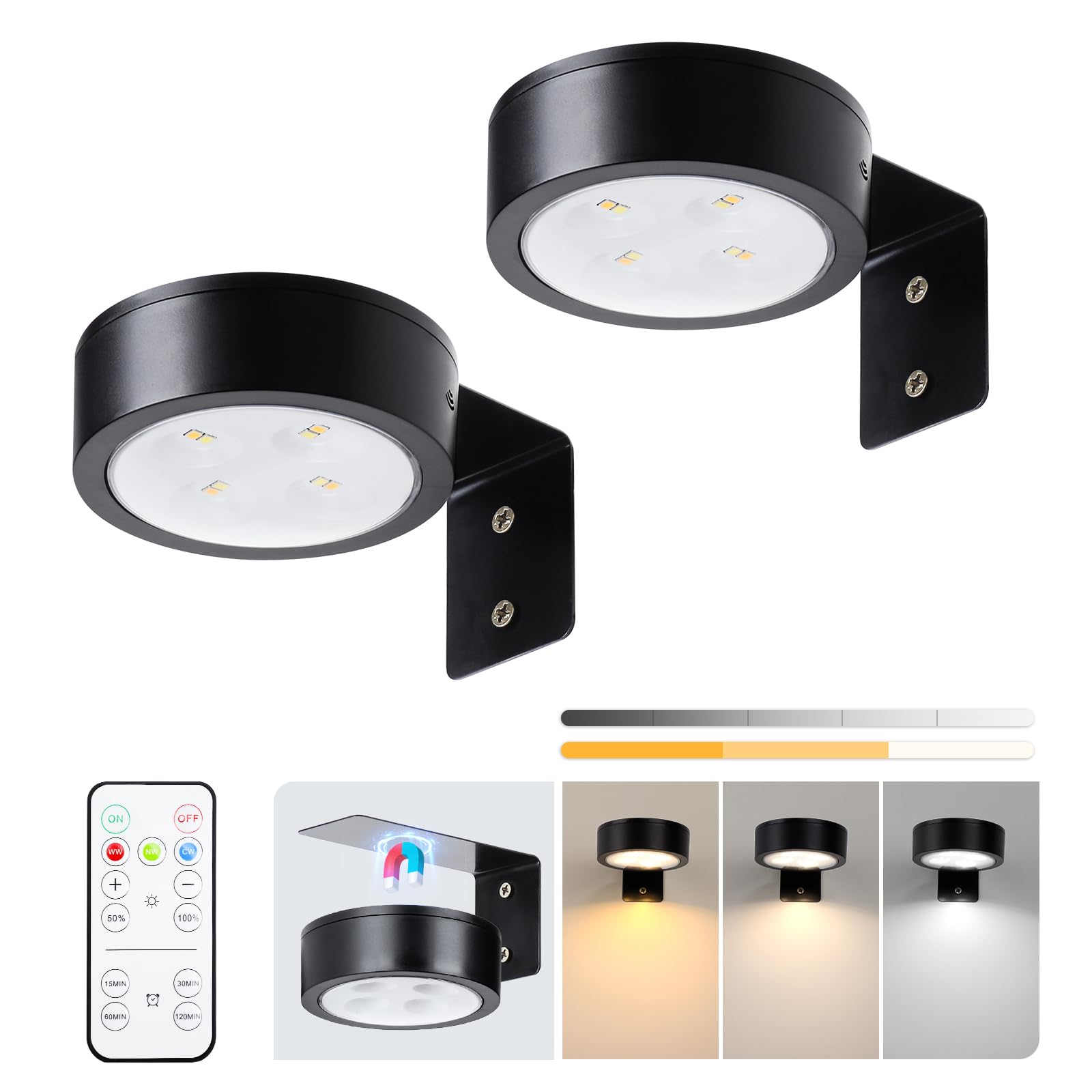 2-Pack Picture Light Battery Operated with Remote, LED Painting Lights, Dimmable and Timer Painting Light, Art Display Light for Picture Frame Artworking Portrait, Home Wall Decor Black display light