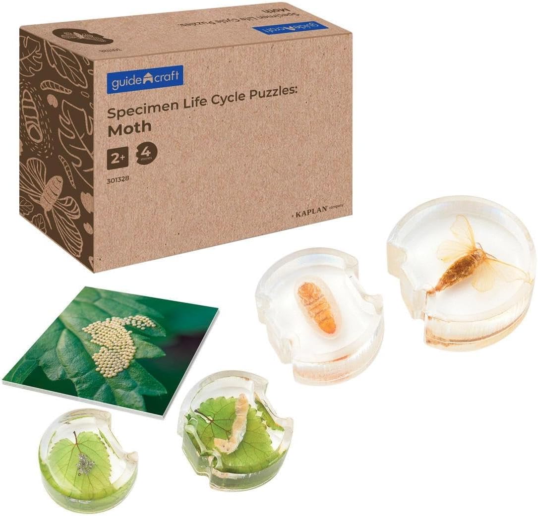 Kaplan Early Learning Specimen Life Cycle Puzzles - Moth