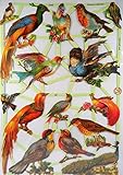 Größe: ca. 24 x 15 cm Glanzbilder Vogel Pfau Amsel EF 7246 Oblate Posiebilder Scrapbook Deko GWI 389