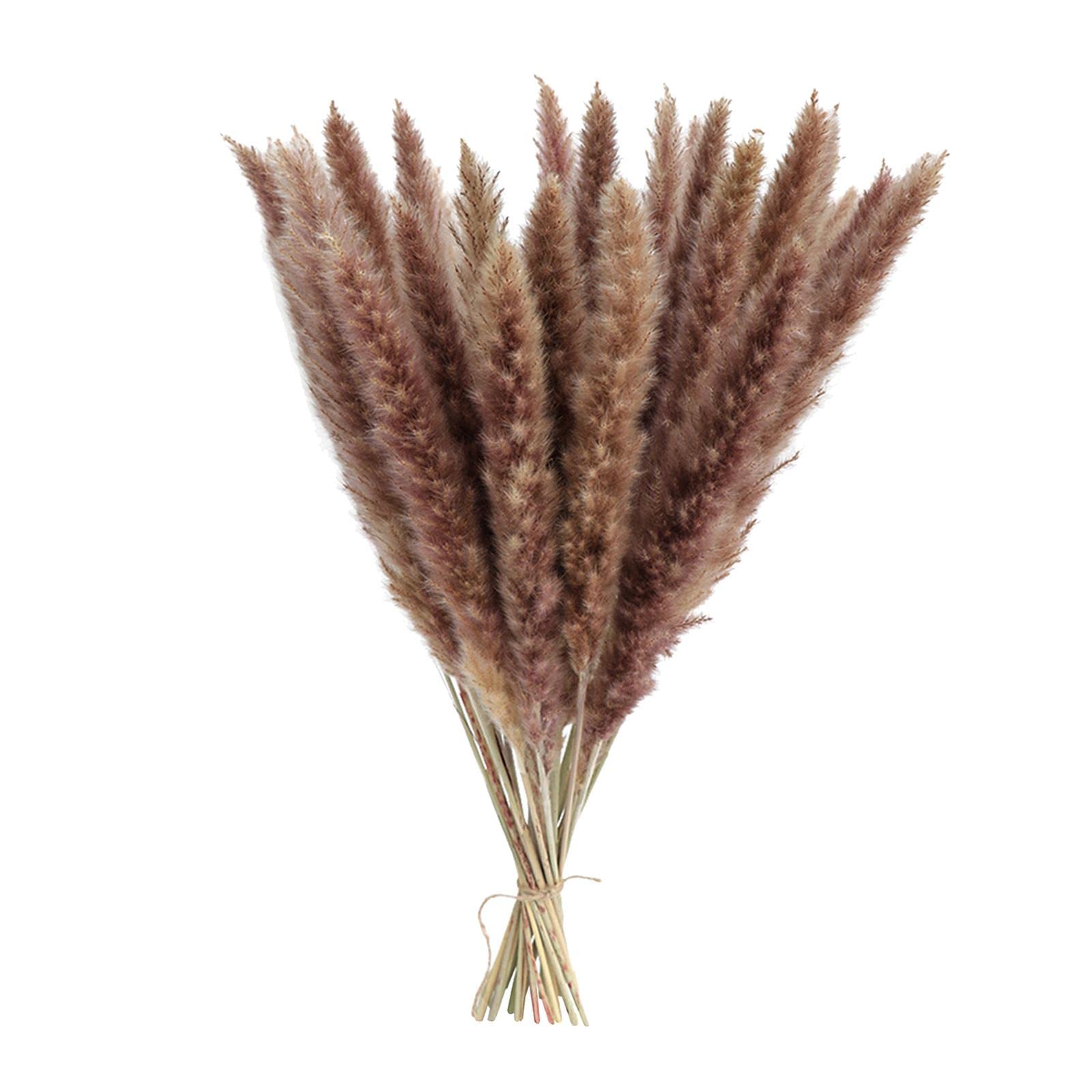MERISHOPP® 15x Dried Pampas Grass Phragmites Reed Flower Bunch Home Wedding Decor Gift Natural|Home & Garden | Home Decor|Floral Déco|15 Pieces Artificial Pampas Gr-image-35