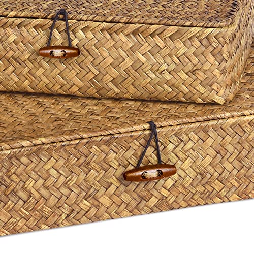 Fossorh Set Of 2 Flat Seagrass Storage Bins With Lid Wicker Storage Baskets For Organizing, Woven Shelf Organizer Bins Home Utility Organizer Box For Home & Office Supplies (Caramel) #TOP2