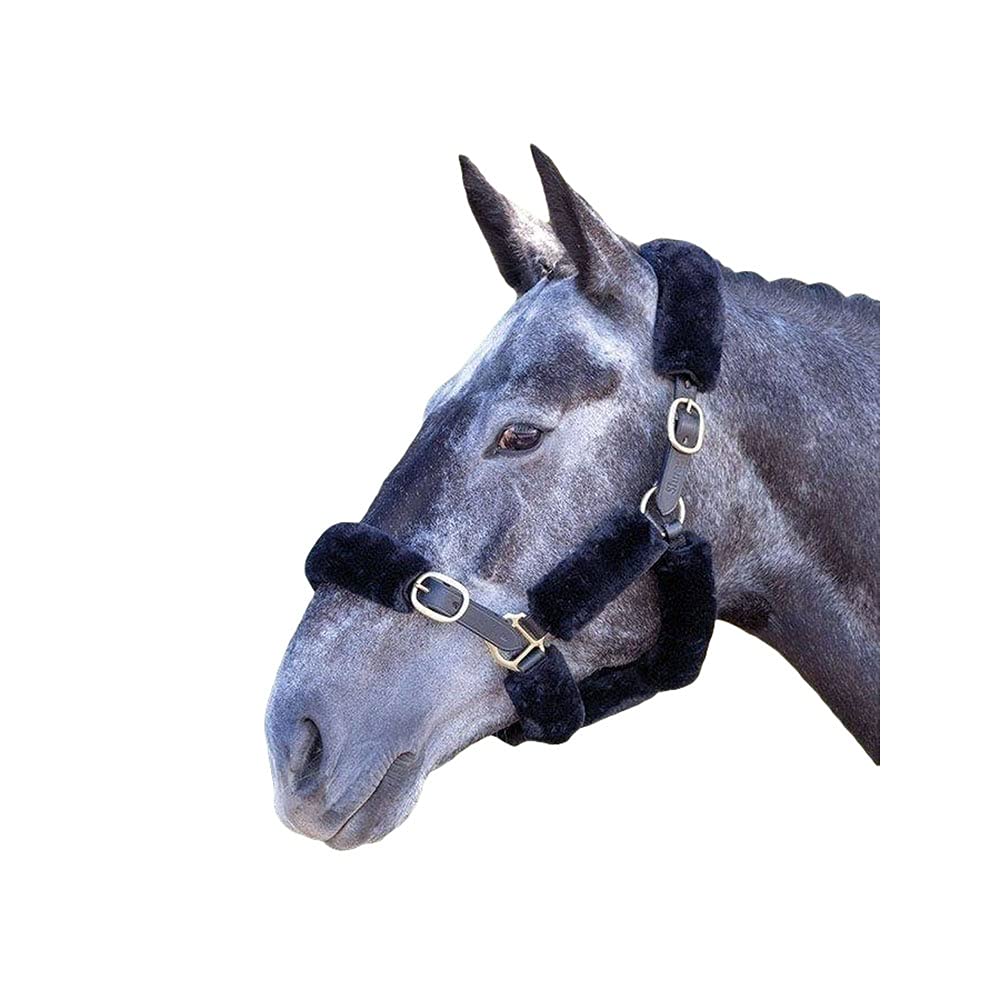 Shires Performance SupaFleece Halter Fleeces Black