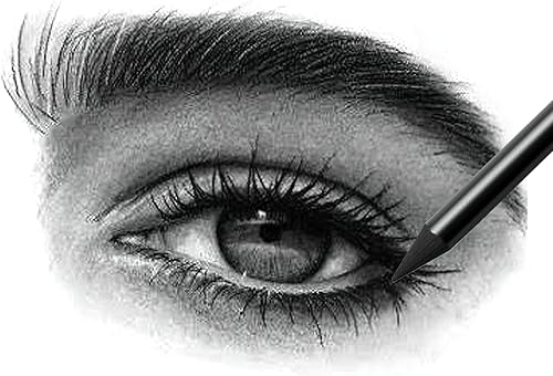 Miniatura 7 de Palitos de carbón para artistas, 24 unidades, profesional, manga, bocetos, dibujo, lápiz de carbón, negro/lápiz de dibujo, sin madera (núcleo de