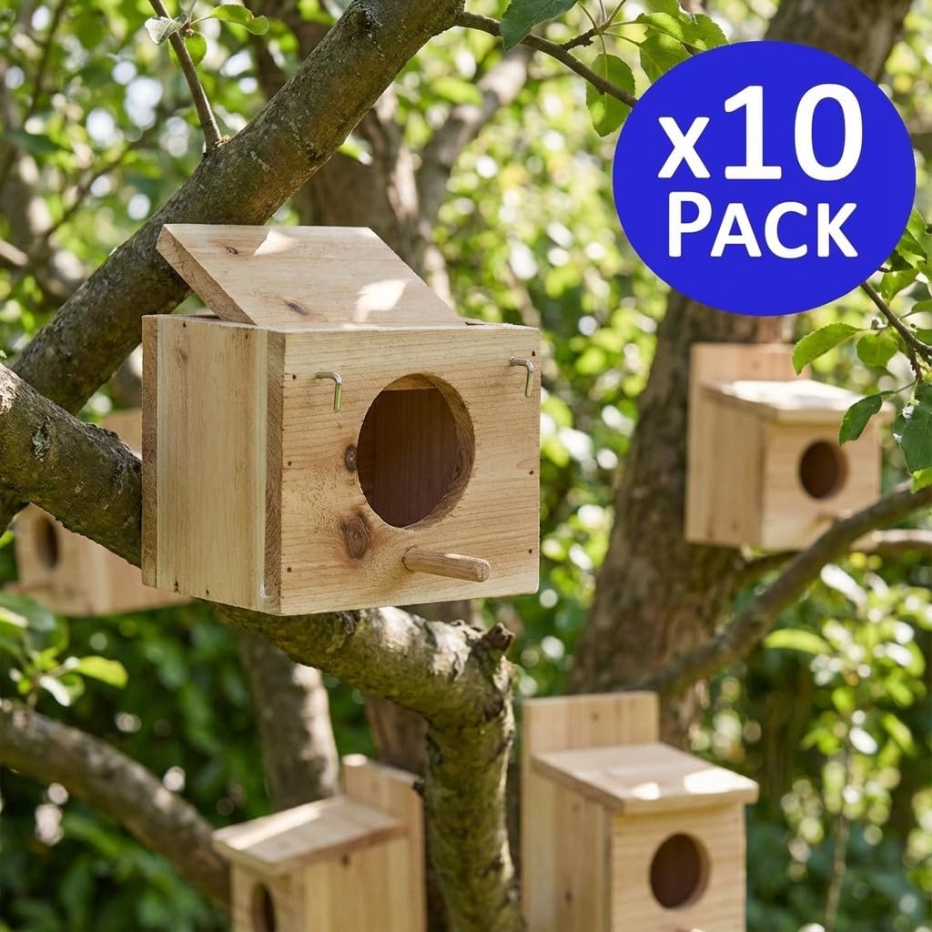 Suinga Pack 10 Nido Jaula de Madera para Pájaros, 12x10x10 cm - Alojamiento para Aves Pajaro