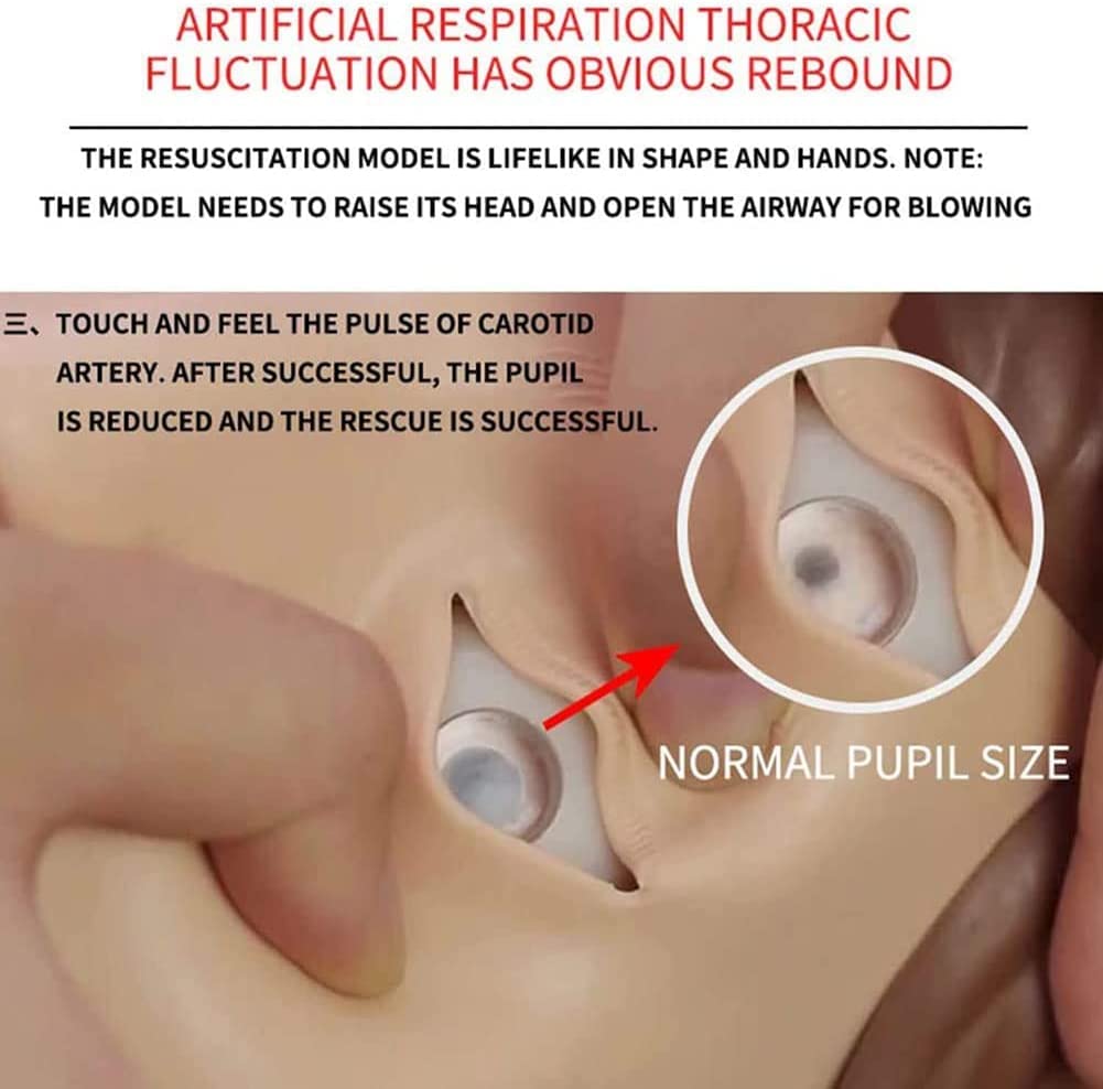 Modèle De Corps Humain Complet d'urgence Médicale Mannequin De Formation De Réanimation Premiers Soins Compressions Thoraciques Simulateur Formation À La Respiration Artificielle Éducatif