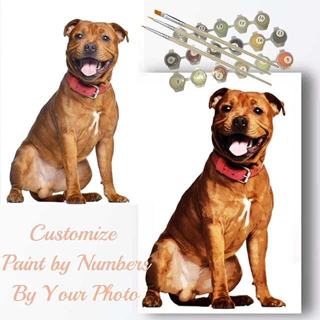 7-Mi Custom Paint by Numbers, Personalised Paint by Numbers Photo, Picture DIY Oil Painting by Number Kits for Adults Beginners Drawing Canvas with Paint Brushes Gifts 16*20 inches