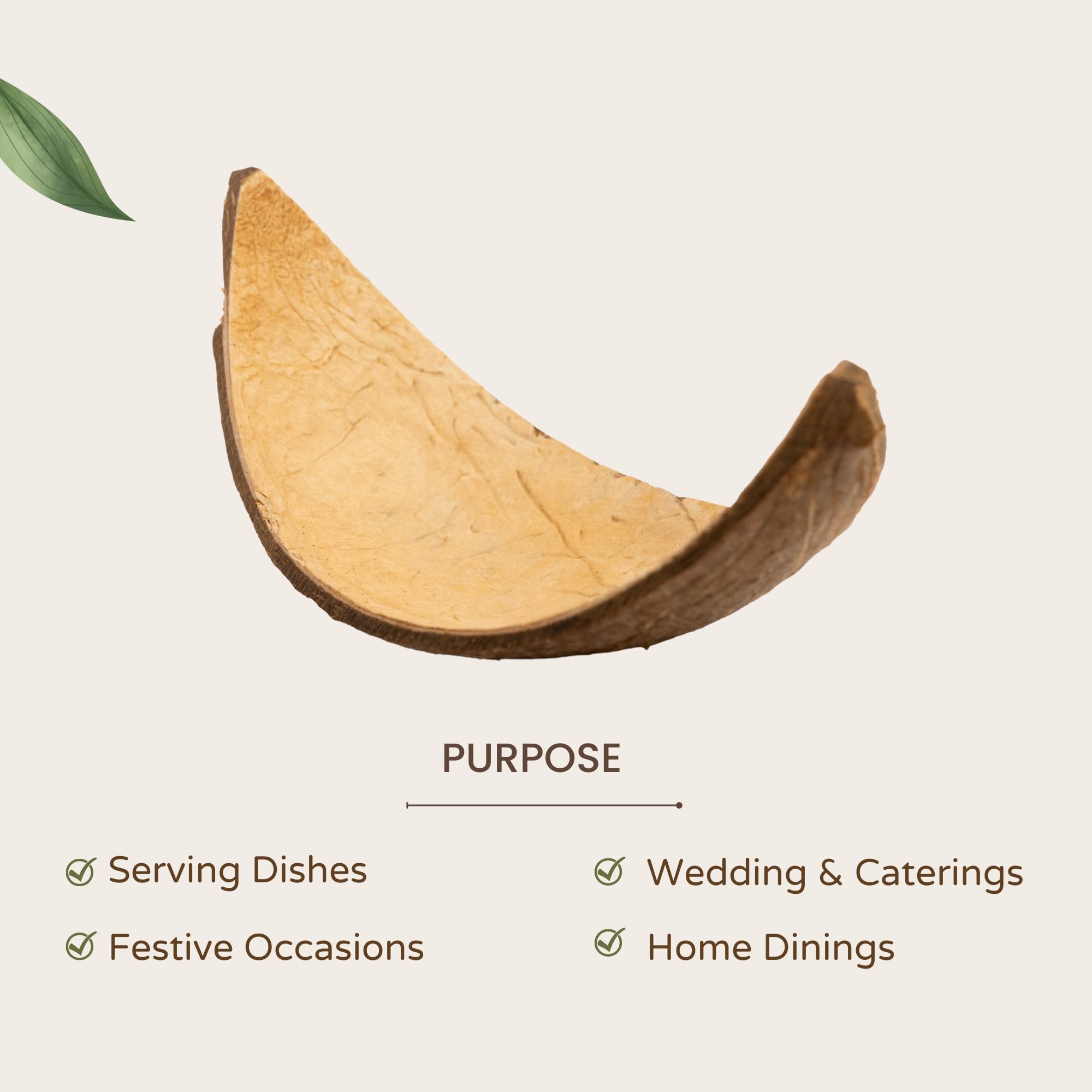 Handmade Coconut Shell Serving Boats - Set of 10 -4