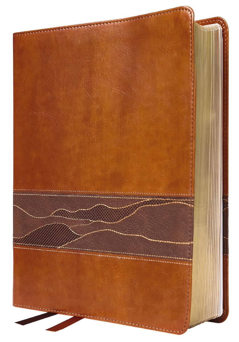 Rooted: The NIV Bible for Men, Leathersoft, Brown, Comfort Print: Shaping Men for Faithful Living in Today’s World