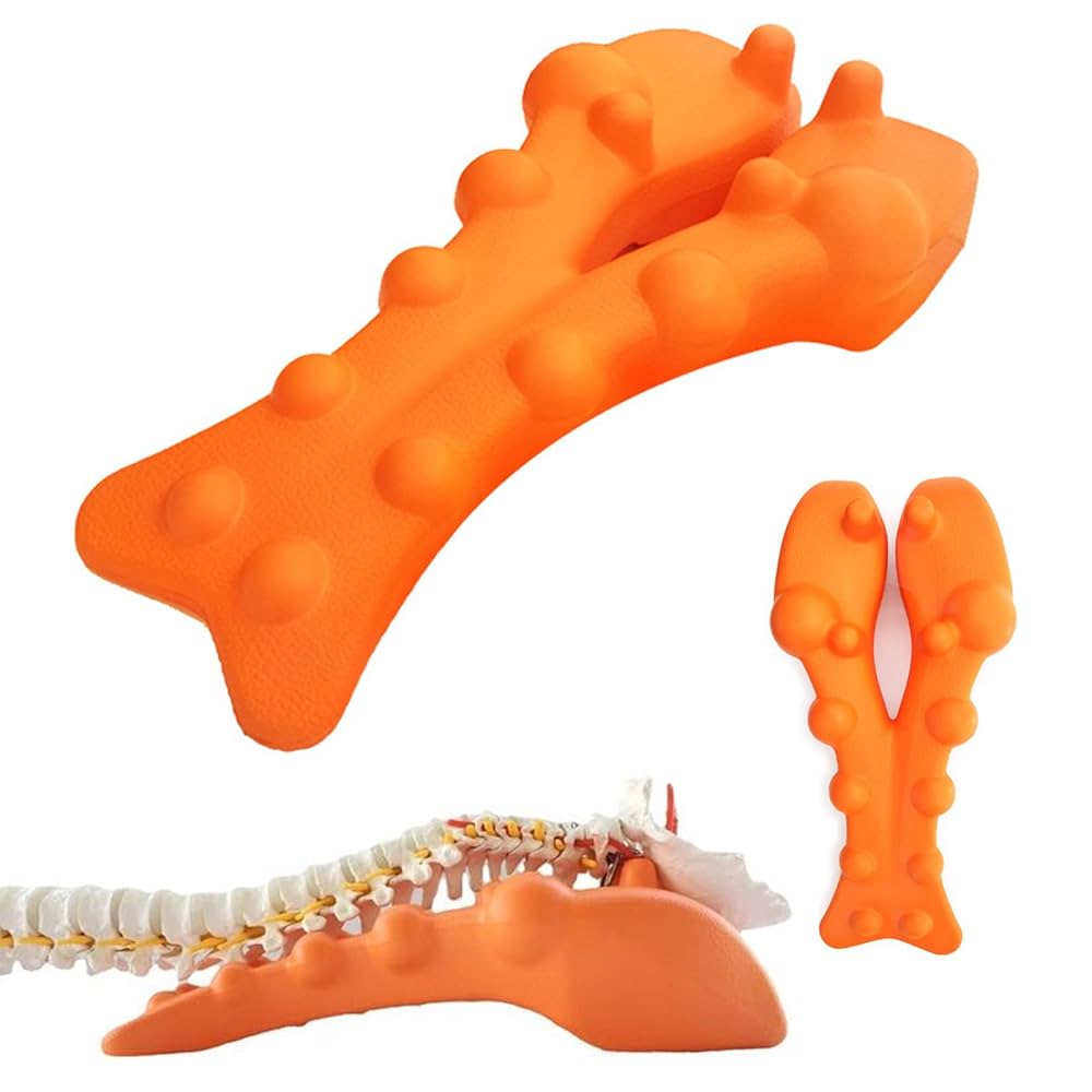 AOTAKE Chiropractic 運動まくら 運動枕あおたけ - カイロプラクティックのリーディング