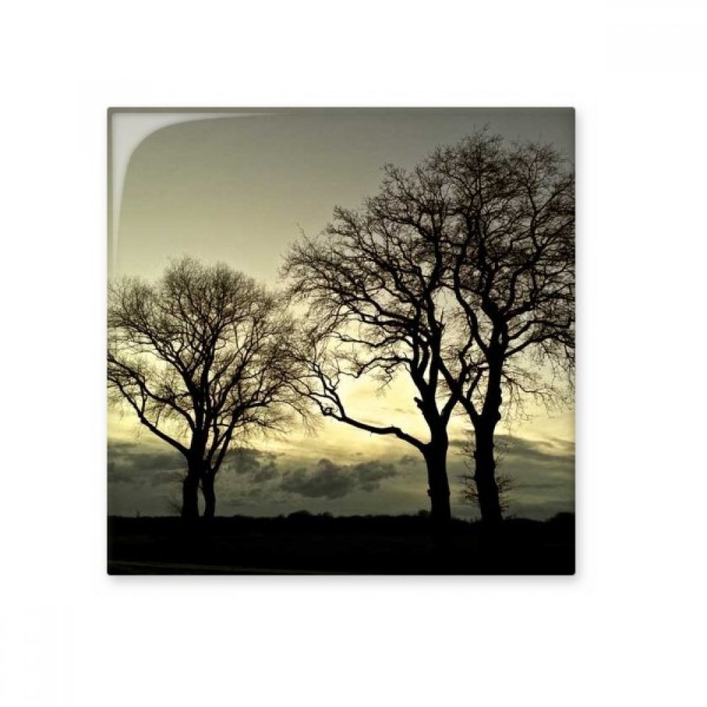 Carreaux Moyen céramique arbre foncé paysage de nature pour carrelage salle de bains