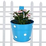 TrustBasket Single Pot Railing Plant with Polka Dots (Pack of 1) – (Blue) Dotted Railing Metal Planters