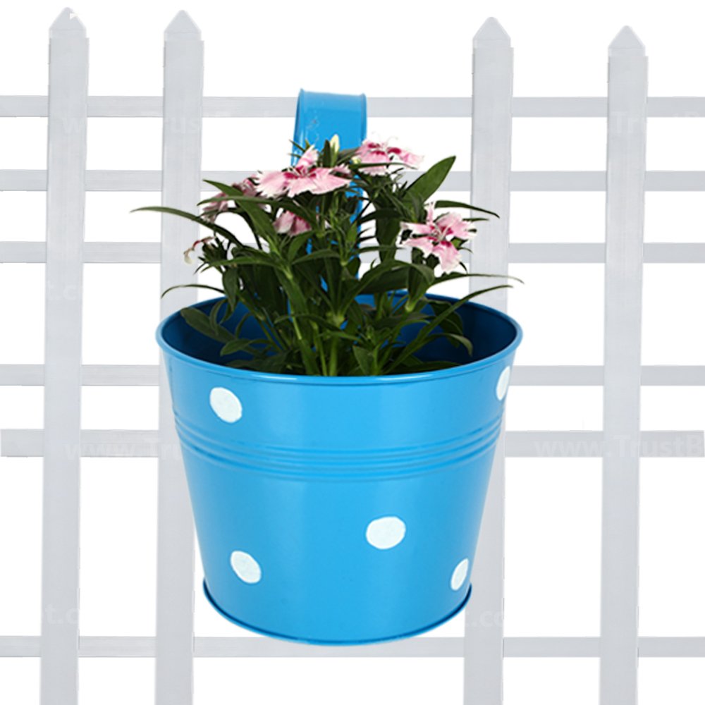 TrustBasket Single Pot Railing Plant with Polka Dots (Pack of 1) - (Blue) Dotted Railing Metal Planters for Balcony and Home Gardening, Indoor, Outdoor (B01DXPER5M) Amazon Price History, Amazon Price Tracker