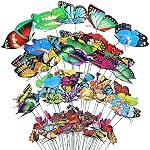 Umbrellas Butterfly