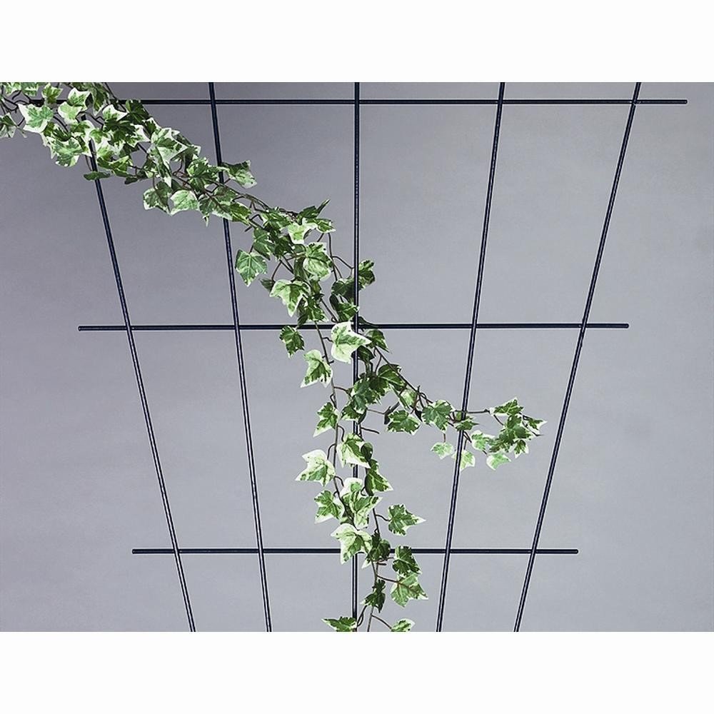 Rose Treillis Blanc Steinbach 150 x 75 cm : tuteur mural extérieur pour plante grimpante