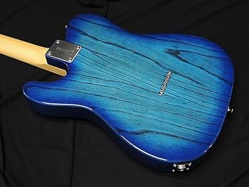 Amazon | Fujigen フジゲン FGN FUJIGEN NTE10MAH SBB Neo Classic