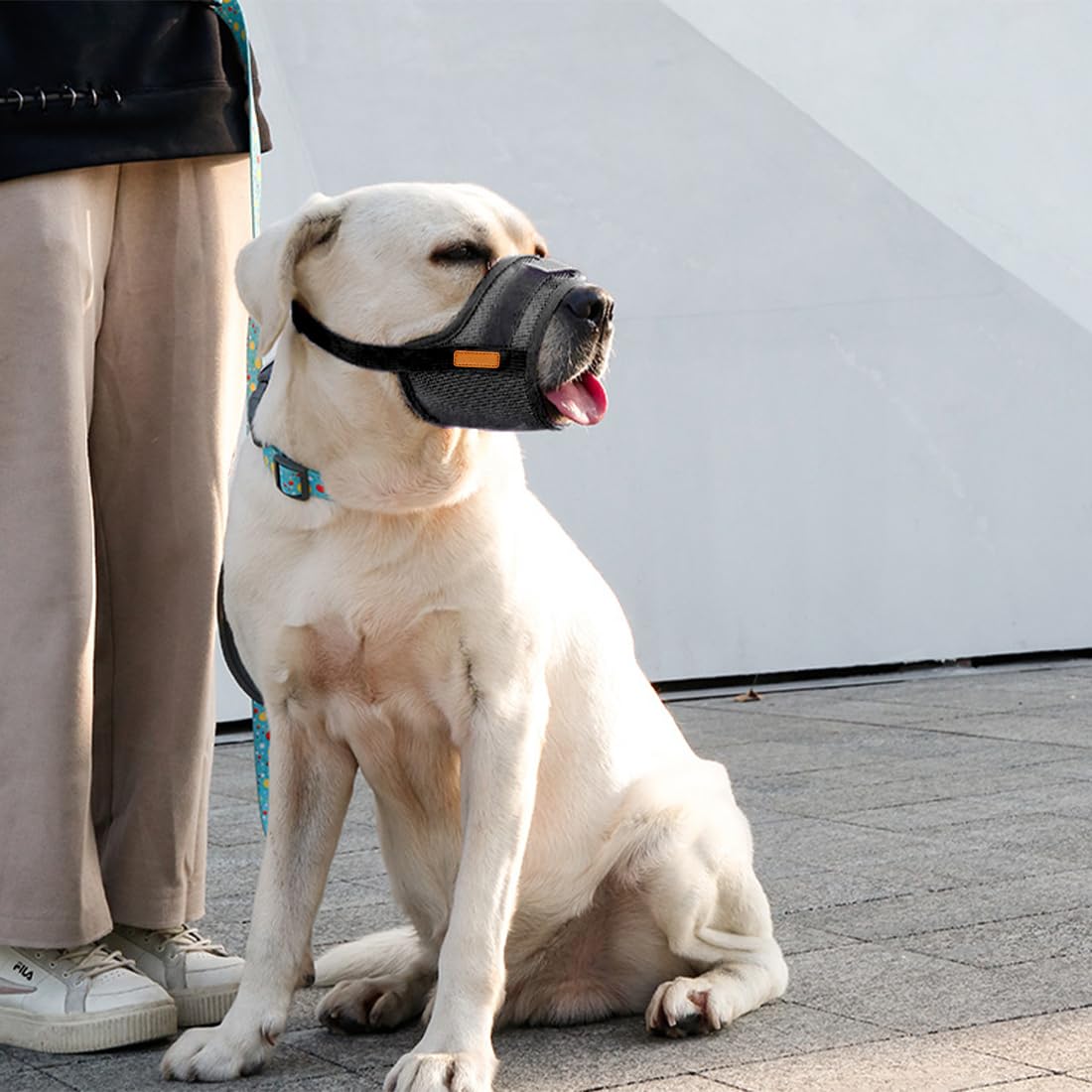 Museruola Cani in Nylon Regolabile