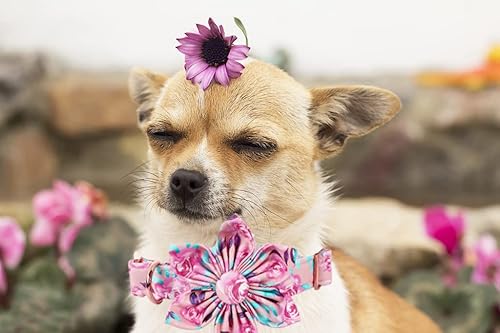 Miniatura 25 de Lionheart glory Collar de perro con bandera estadounidense, collar de flores para perro del 4 de julio, resistente y ajustable, collar patriótico