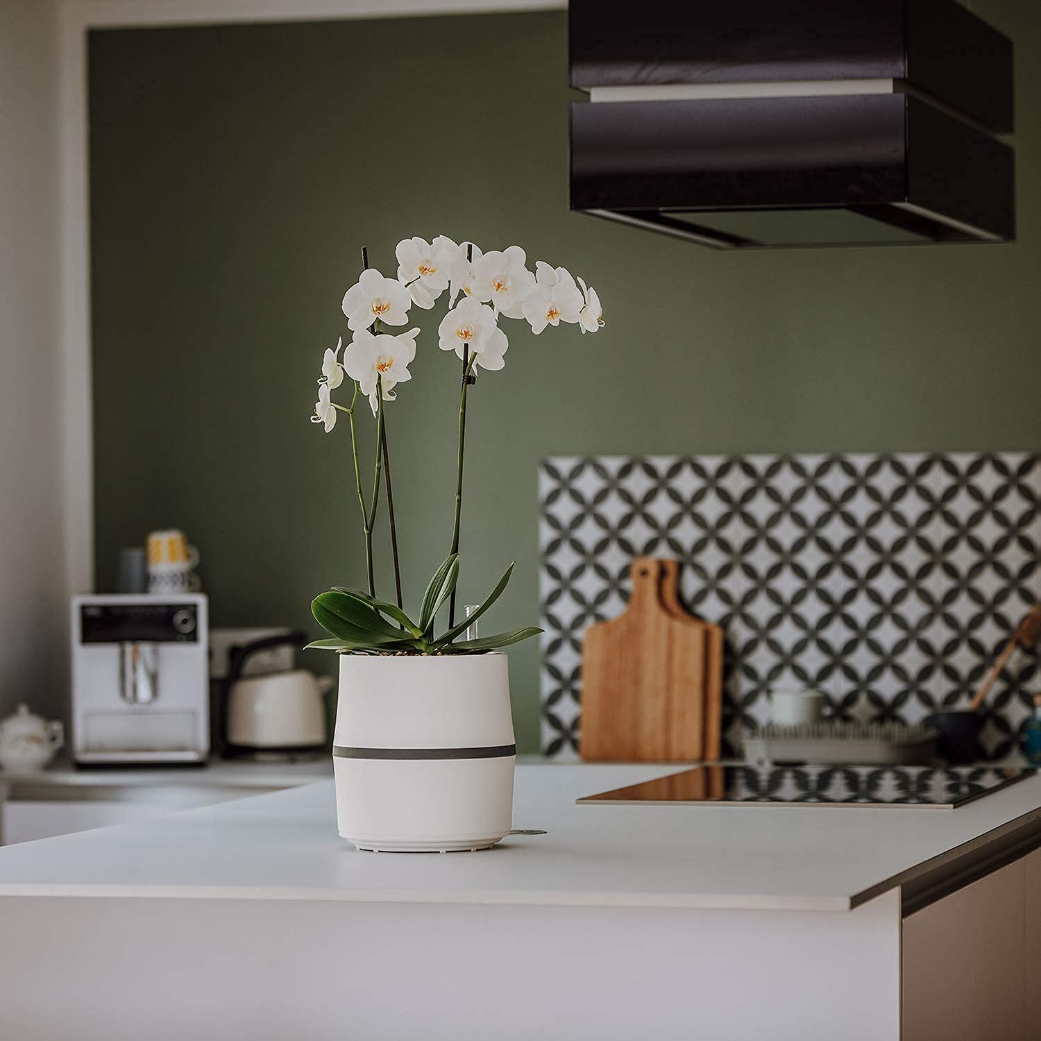 AIRY System oczyszczacza powietrza S z Bogenhanf i 3-litrowym Airy Base • Naturalny filtr powietrza usuwa szkodliwe substancje, alergeny i zapachy • Idealny do pomieszczeń o powierzchni ok. 10 m²