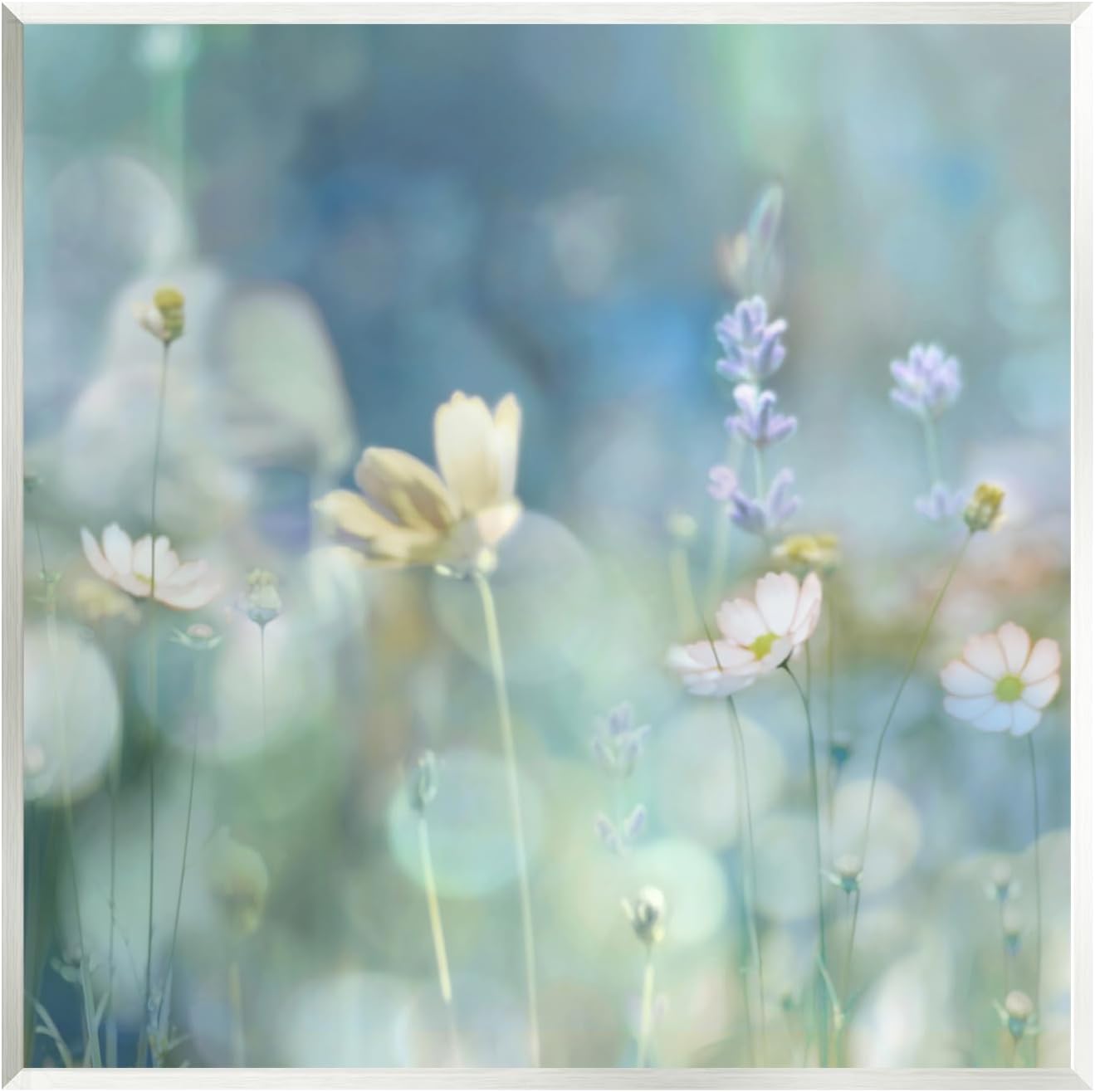 Stupell Industries Garden Floral Photography Canvas Wall Art by Kate Carrigan