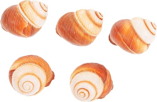 Mipcase Escargot - Conchas de caracol decorativas de calidad alimentaria, aislamiento térmico seguro para horno, microondas, congelador, lavavajillas