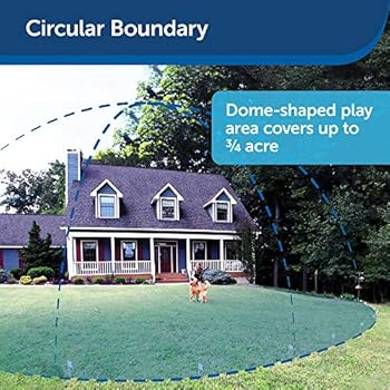 pet safe above ground fence