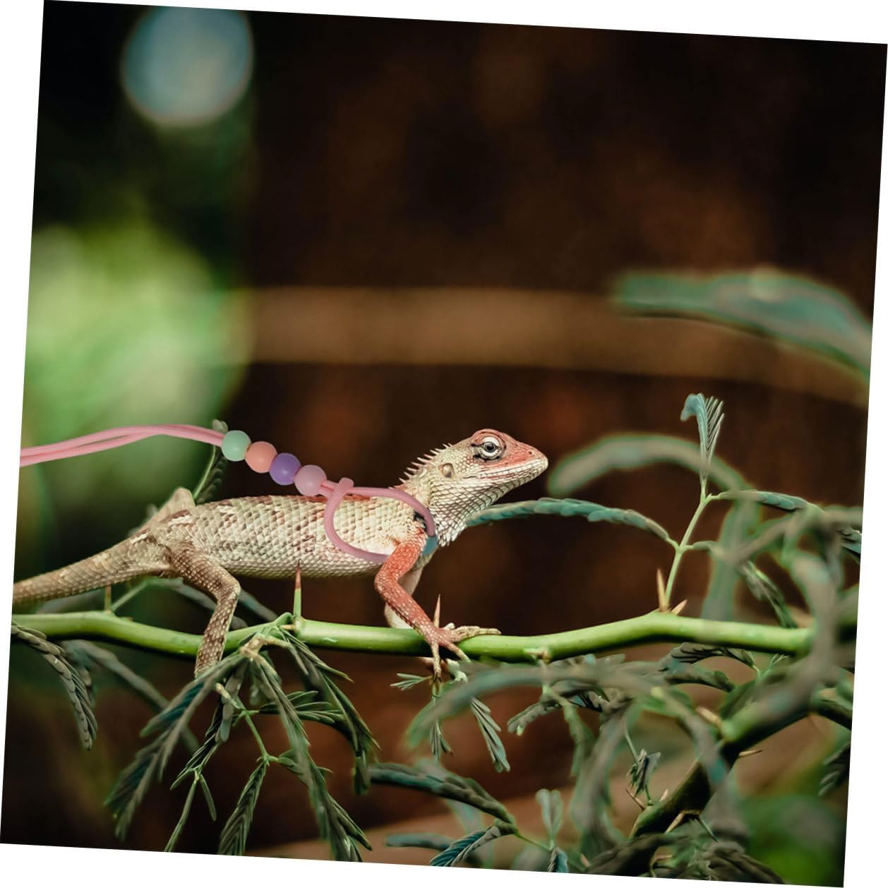Hemobllo 3pcs Glow-in-the-Dark Bearded Dragon Leash and Lizard Harness Set, Adjustable Outdoor Reptile Traction Rope for Small Pets, Portable Pink Harness for Walking Lizards