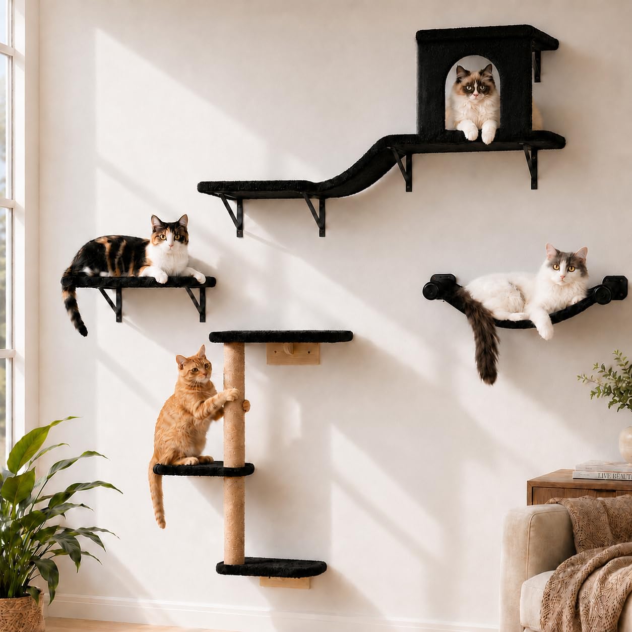 Cat Wall Shelves, 4 in 1 Cat Wall Furniture Set, Stable Wall Mounted Cat Climbing Frame Set for Indoor, Cats Tree with Scratching Post, Platform, Hammock & House for Sleeping Playing-Black