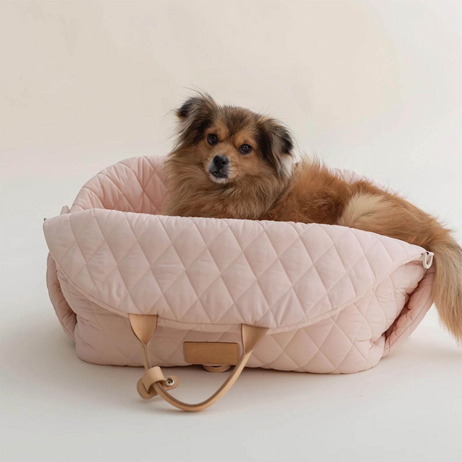 Grande borsa da trasporto per cani o animali domestici da viaggio all'aperto per visite turistiche all'aperto disegni animali domestici per cani