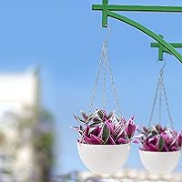 Vista 5 de Foraineam 10 macetas colgantes de 6 pulgadas, maceta de jardín con riego automático, mini macetas para suculentas con cadena para colgar